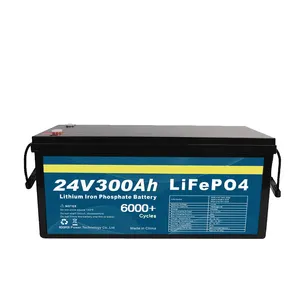 Vente en gros de batterie solaire 12v 24v 300ah alimentation domestique Lifepo4 24v batteries au lithium-ion 24v batterie 100ah 200ah