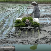 Transplanteur de riz à 4 rangs avec moteur à essence, semoir manuel pour rizières humides