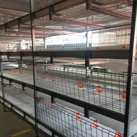 Cage d'élevage de poulets de chair moderne intelligente et automatique de grande quantité pour poulailler de grande ferme avicole
