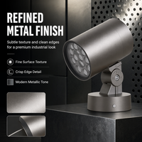 Projecteur LED extérieur 24W OEM ODM, éclairage architectural mural AC, faisceau réglable pour bâtiments et ponts