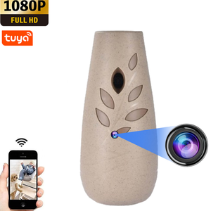 Xu hướng sản phẩm 2025 1080p không dây 2800mAh Pin Mini CCTV Camera 30fps 2 4Ghz không dây Vase Camera - Product Image 1