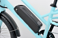 Vélo de livraison électrique 250W avec moteur de moyeu arrière, batterie lithium 48V 15Ah, assistance au pédalage, accélérateur, vitesse maximale 25 km/h, cadre en aluminium