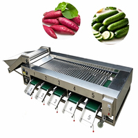 Commerciële roltype sorteermachine voor blauwe bessen, appels, citrusvruchten, hoogwaardige sorteermachine voor groenten zoals komkommer en wortel