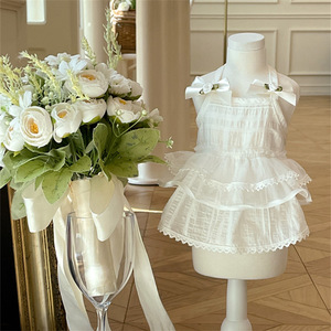 Kangdarpet Summer <b>Dog</b> Cute Dress Pet Skirt <b>Dog</b> Clothes Bow <b>Dog</b> Princess Dress with Lace Decoration for Puppy - Product Image 4