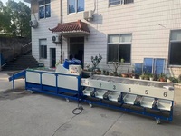 Commerciële Limoenen Waxen Machine/Citroen Apple Sorteren Machine/Sinaasappels Citrus Wasmachine En Sorter