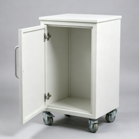 Armoire mobile de laboratoire à porte simple tout acier avec roulettes pour un rangement flexible sous le banc et une utilisation comme poste de travail en laboratoire