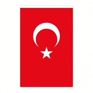 Rectangle Polyester Turkey 10 Meters Bunting 30 <b>Flags</b> Turkish String <b>Flags</b> Custom Shape Size for Decoration - Product Image 2