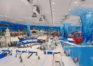 خدمة تخصيص إنشاء منتجعات التزلج الداخلية لعالم الجليد والثلج مع صانع الثلج - Product Image 2