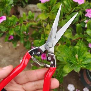 กรรไกรตัดกิ่งฮิไซจิโร่ ใบมีดสแตนเลส 1.5 มม. ด้ามจับสีแดง โครงสร้างแบบผีเสื้อ ใช้สำหรับตัดแต่งสวน ต้นไม้ผลไม้ - Product Image 4
