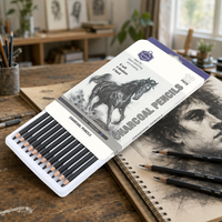 Keep Smiling Art Supplies, ensemble de 12 crayons à fusain, dessin professionnel pour artistes