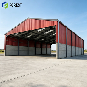Almacén de Almacenamiento Abierto de Acero Estructural Resistente a la Corrosión, de Gran Vano, para Uso Industrial y Terminal de Materiales - Product Image 1