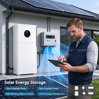 Système de stockage d'énergie solaire tout-en-un 10 kW 30 kWh LiFePO4 avec onduleur hybride double MPPT, UPS, surveillance Wi-Fi et onde sinusoïdale pure pour la maison