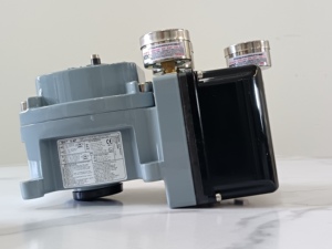 มาโซนีแลน SVI II ดิจิตอลประสิทธิภาพสูง (รุ่น HART) Svi2Ap-21113111 Svi2Ap-21123121 สำหรับการทดสอบ - Product Image 2