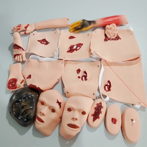 DARHMMY Modèle de formation à l'évaluation des soins traumatologiques médicaux pour les sciences médicales - Product Image 3