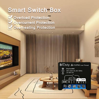 Bilihondim Contrôle Domotique Intelligent 1 Canal 200W Installation Facile Interrupteur à Contact Sec Gradateurs Technologie Intelligente Matter Thread