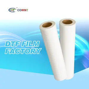 Cowint custom transfer film roll stampa digitale a getto d'inchiostro 75 micron 30cm 60cm x 100m PET clear film transfer DTF pet film
