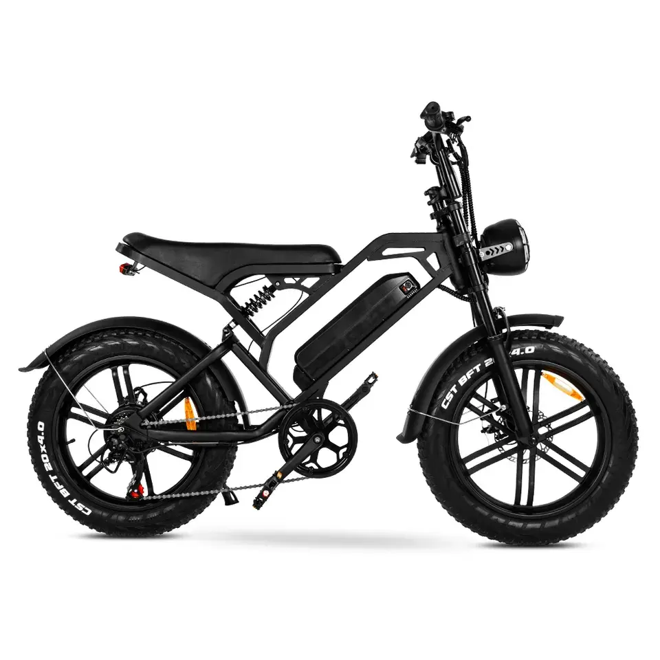Smlro Electric elektrikli Retro kargo bisiklet 2000w motosiklet Ebike 48v 25ah Ebike 20 "yağ lastik 7 hız E bisiklet Mtb