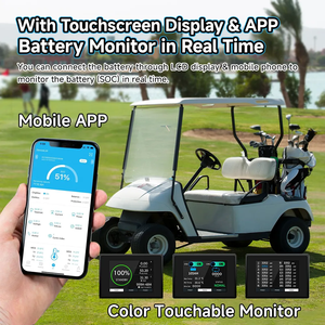 Maßgefertigte LiFePO4 Golfwagen-Batterien 36V 48V 72V 96V 100Ah 200Ah 300Ah Lithium-Ionen-Akkupacks für Golfcarts - Product Image 5