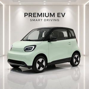 Auto Eléctrico Mini de Bajo Costo, 4 Ruedas, para Ciudad, Baja Velocidad, Ideal para Desplazamientos Urbanos y Conducción Diaria - Product Image 1