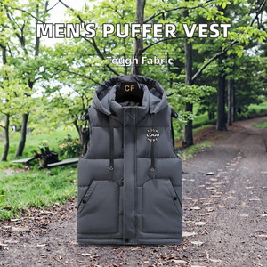 Vente en gros du fabricant Gilet d'hiver sans manches pour hommes Fashionable Casual Custom Utility Hood Woven Hot Selling - Product Image 2