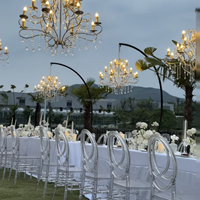 Arche de mariage de luxe en fer courbé, support de toile de fond, suspension de lustre, décoration de scène de mariage robuste, décor de cérémonie extérieure, noir