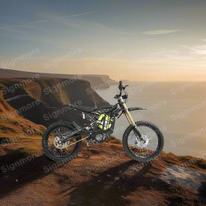 Surron ánh sáng Bee x <span class=keywords><strong>2025</strong></span> 8KW 60V 40Ah điện off road xe máy surron - Product Image 1