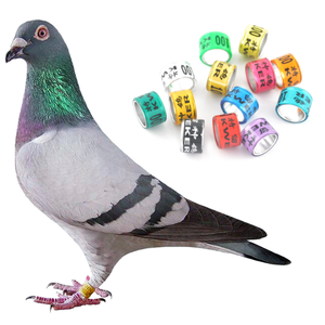 Nieuwe multicolor aluminium & plastic duivenpoot ringen vogel ID tracking banden waterdicht schadebestendig 2026 training voetring - Product Image 4