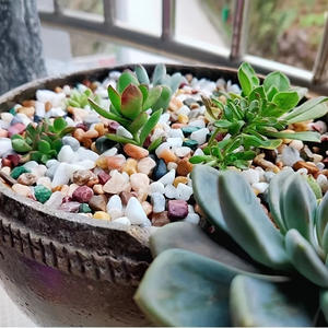 Partículas Pequeñas para Decoración de Acuarios, Aromaterapia, Piedra Difusora de Cristal Natural, Artesanías Naturales, Piedra Triturada de Amatista Natural - Product Image 2