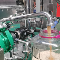 1,5T/H Watermeloen Wortel Appel Biet Gember Vacuüm Koudgeperste Sapverwerkingsmachine voor Natuurlijk Sap Zonder Toevoegingen