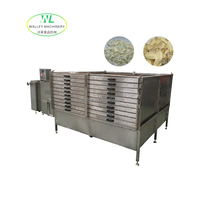 Séchoir à gaz en acier inoxydable Walley, prix d'usine, fonctionnement facile, séchage des légumes, des fruits, comme le poivre noir