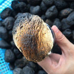 Météorites naturelles <span class=keywords><strong>à</strong></span> 100%, pierres brutes, spécimens minéraux <span class=keywords><strong>à</strong></span> <span class=keywords><strong>vendre</strong></span> - Product Image 4