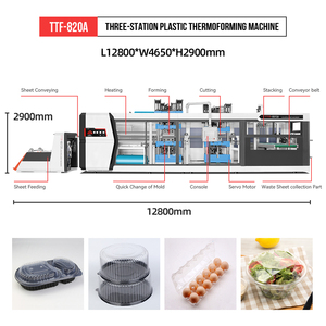 Haute productivité entièrement automatique jetable en plastique verre boîte à lunch bol de nourriture plateau à oeufs faisant des Machines de thermoformage - Product Image 3