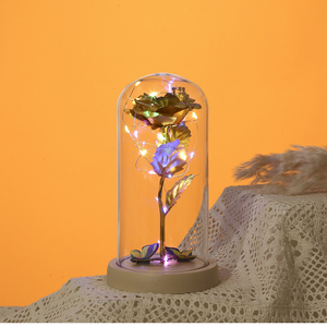 La belle et la bête Rose dans un dôme en verre papillon cadeaux pour la fête des mères Light Up Rose éternelle - Product Image 5