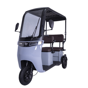 Triciclo Elettrico FGQ per Adulti a 3 Ruote con Cabina per Passeggeri - Product Image 3