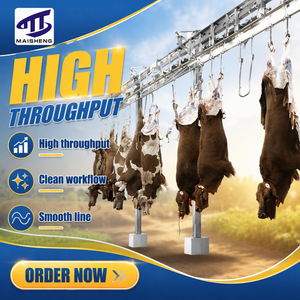Machine d'abattage <span class=keywords><strong>halal</strong></span> pour bovins (vaches et taureaux) destinée aux abattoirs de bœuf et aux usines de transformation de viande - Product Image 6