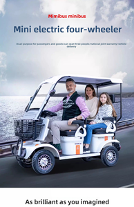 Voiturette de golf électrique familiale à 4 roues avec auvent, mini navette pour femmes et enfants - Product Image 5