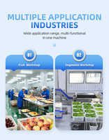 Industriële grote fruitpulperapparatuur abrikoos perzik tomaat mango ananas pulpmachine