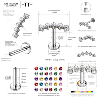 Piercing Labret en Titane ASTM F136 16G à Filetage Interne avec 5 Zircons Cubiques Ronds pour Hélix, Conch, Cartilage, Tragus, à Dos Plat