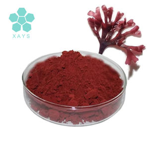 Polvo de extracto de algas secas naturales Dulse polvo de algas rojas EXTRACTO DE <span class=keywords><strong>Palmaria</strong></span> <span class=keywords><strong>Palmata</strong></span> polvo de algas marinas - Product Image 2