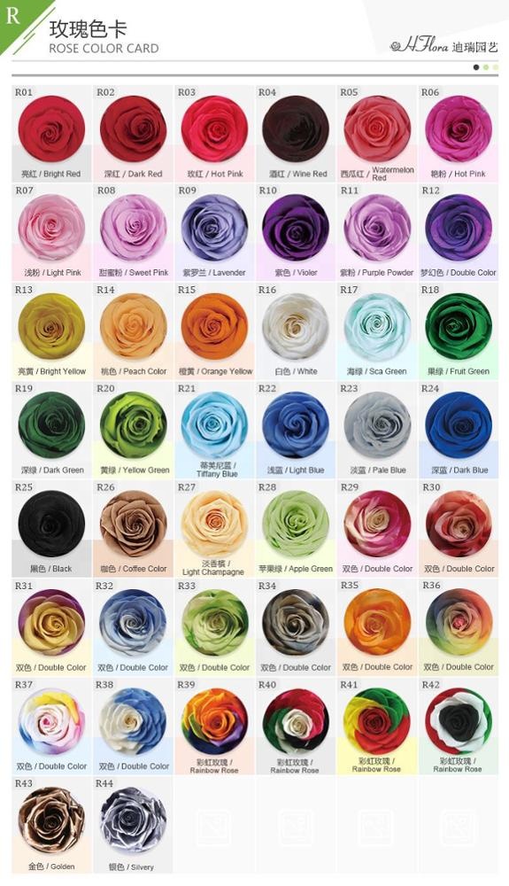 couleur 20+