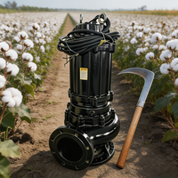 Pompe submersible à grand débit SQHB WQD 4HP 5.5HP 7.5HP 10HP 15HP 380v pour l'agriculture et l'aquaculture