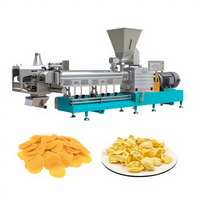 Ligne de production entièrement automatique de snacks en granulés 2D et 3D, machine extrudeuse de chips en granulés frits