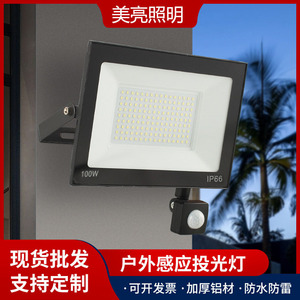 Flood <b>Light</b> 100W IP66 With <b>Motion</b> <b>Sensor</b> Outdoor Waterproof <b>Led</b> Panel <b>Light</b> - Product Image 2
