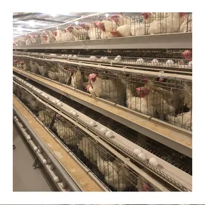 motor best selling egg baby chicken cage price in kenya