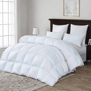 Mới Đến 100% Polyester Sợi Nhỏ Chăn Với Giá Rẻ Giá Tùy Chỉnh Kích Thước Trắng Bông <span class=keywords><strong>Comforter</strong></span> Cho Khách Sạn Nhà - Product Image 1