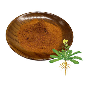 中国産ハーブサプライプレミアムイサティス根エキス粉末 |   天然バンランゲンハーブ成分 - Product Image 3