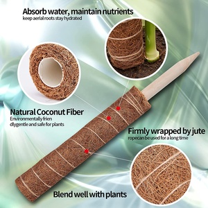 Bâtons de soutien pour plantes en fibre de coco naturelle, écologiques, pour intérieur/extérieur, <span class=keywords><strong>pot</strong></span> de fleurs, poteaux d'escalade, accessoires de jardin - Product Image 5