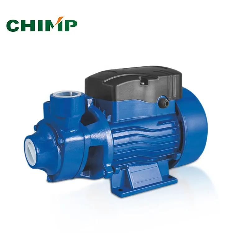 CHIMPANZÉ QB80 0.75kW/1.0HP haute pression électrique automatique en fonte toutes sortes de pompe à eau vortex
