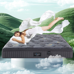 Nandi Nhà Máy Bán Buôn Năm Sao Khách Sạn Tương Thích <span class=keywords><strong>Simmons</strong></span> Cột Sống Bảo Vệ 1.8 Độc Lập Mùa Xuân Nệm Cao Su USB Dệt Kim - Product Image 3