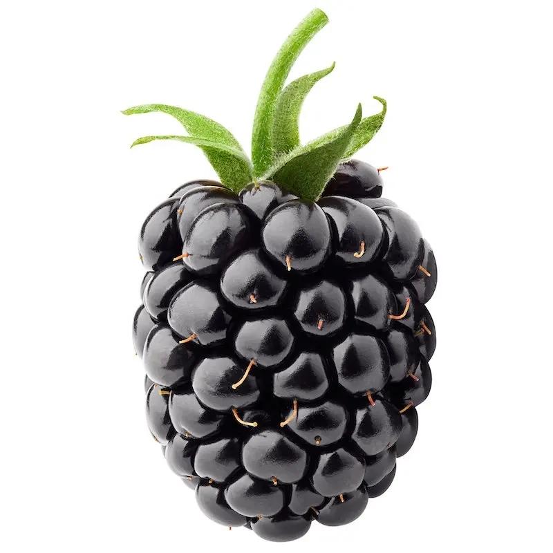 Huile de graine de Blackberry, 1 boîte, parfums huile pour bougies
